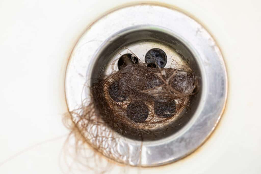 remove hair from drains